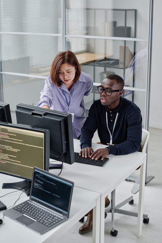Colleagues working over new software